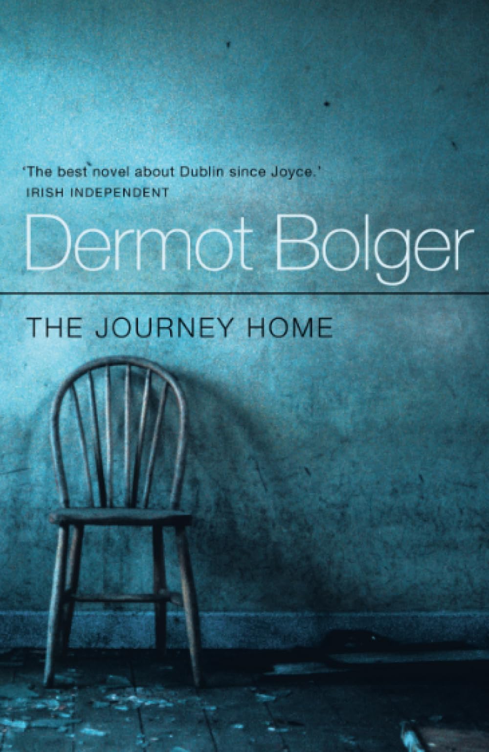 The Journey Home - Inspirational Novel About Family, Love, and Self-Discovery | Perfect for Book Clubs, Gifts, and Relaxing Reads