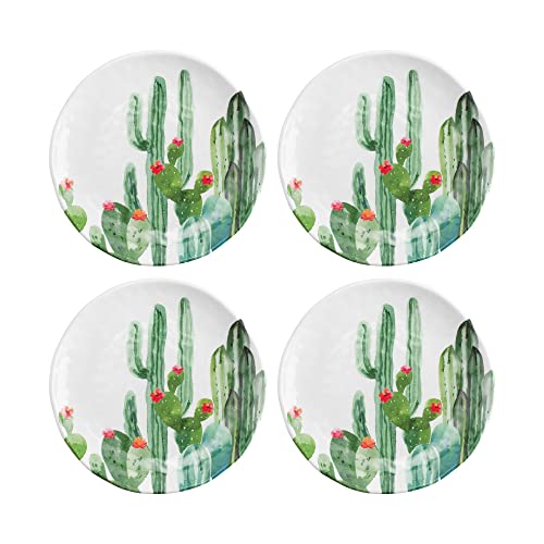 Desert Cactus