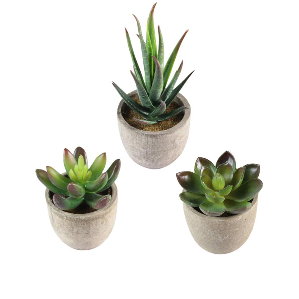 LIOOBO 3-Pack Artificial Succulent Plants in Pots - Realistic Fake Succulents for Home Decor, Office Desk, Wedding Centerpieces & Party Decorations
