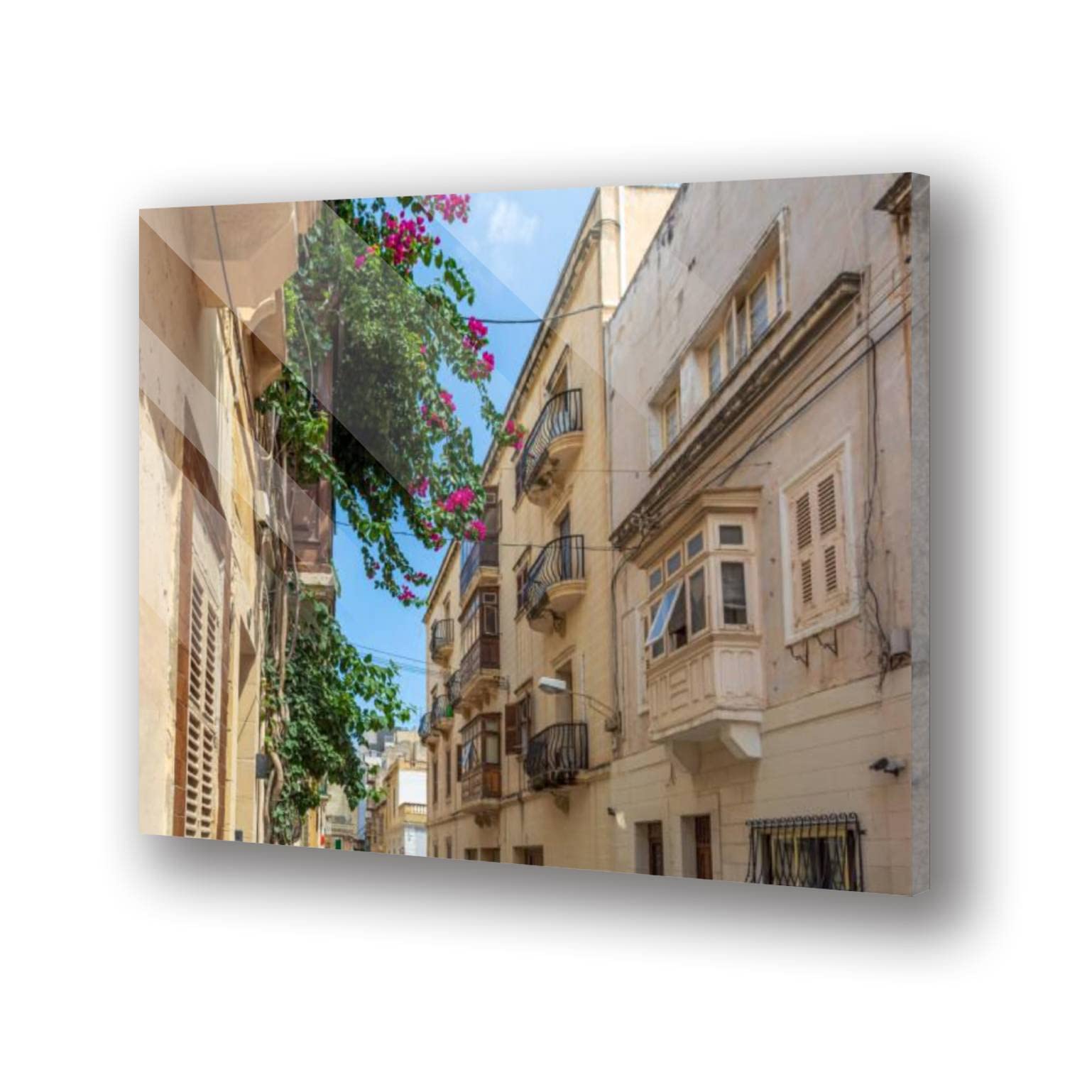 Modern Acrylic Glass Wall Art - Bougainvillea Branches Floating Picture Print, Home Office Decor for Living Room, Bedroom & Workspace | Elegant Wall Accent for Contemporary Interior Design