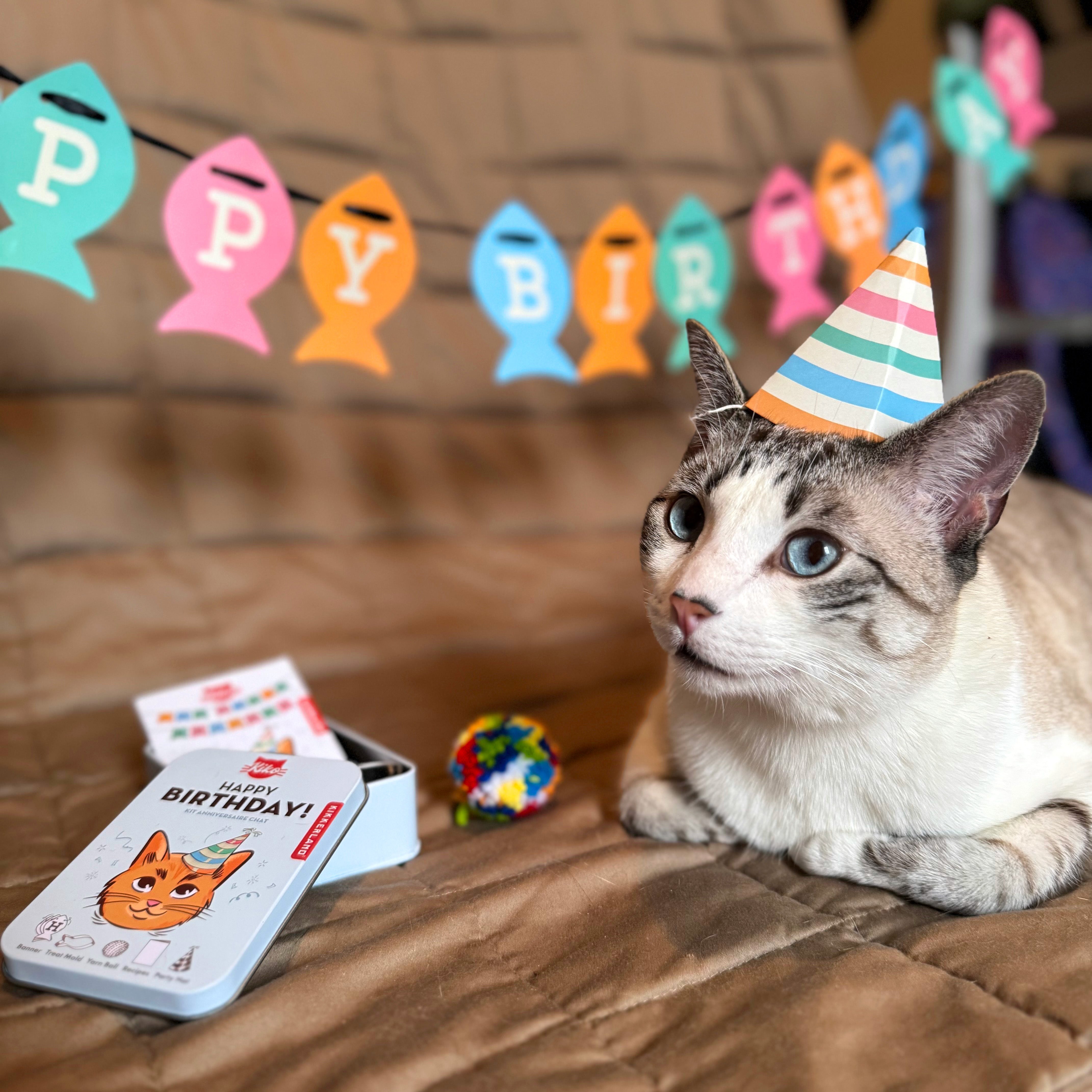 Kiko Cat Happy Birthday Party Kit - Fun Pet Celebration Supplies for Cats & Kittens - Perfect for Birthdays, Adoption Anniversaries & Special Occasions
