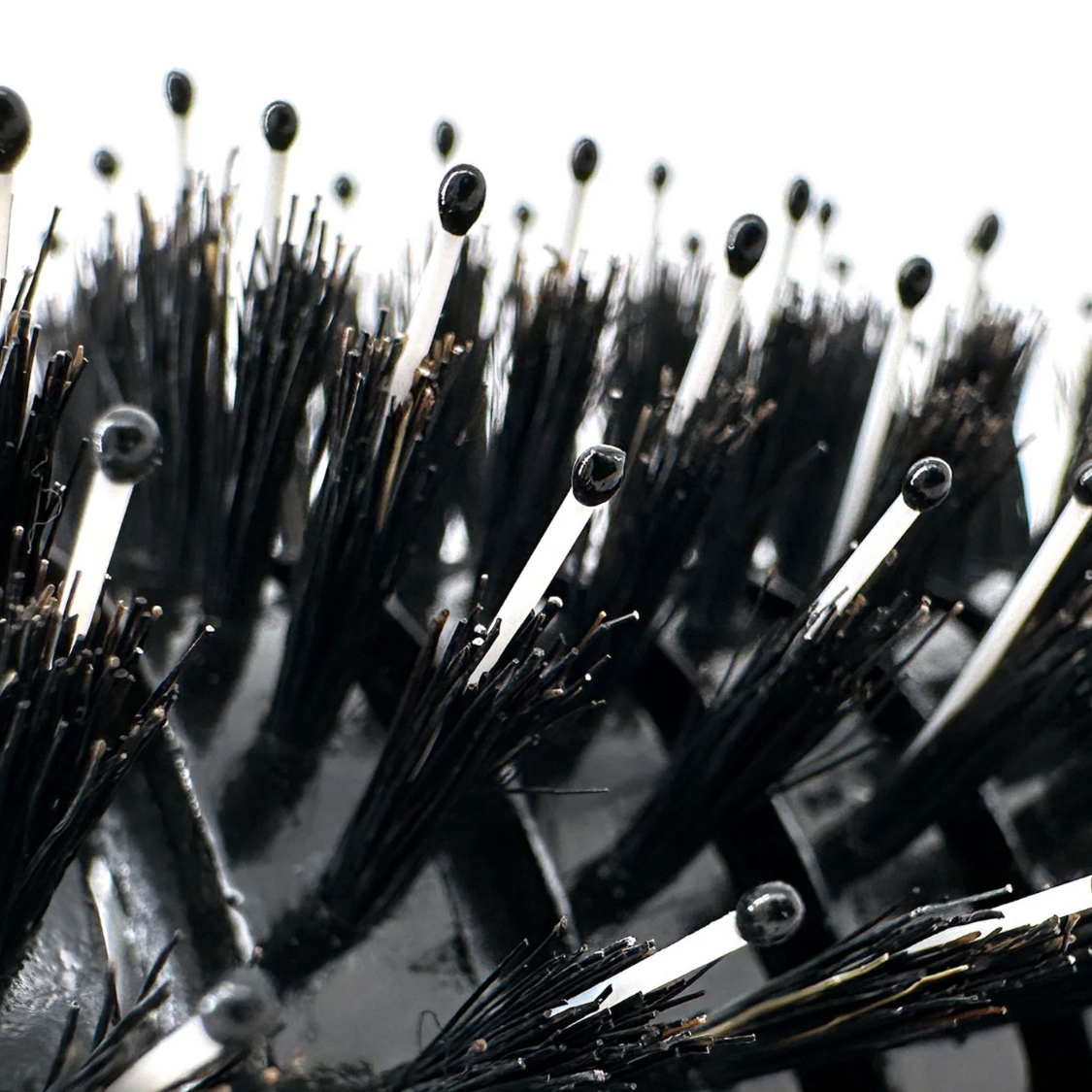 Phillips Brush 2.75