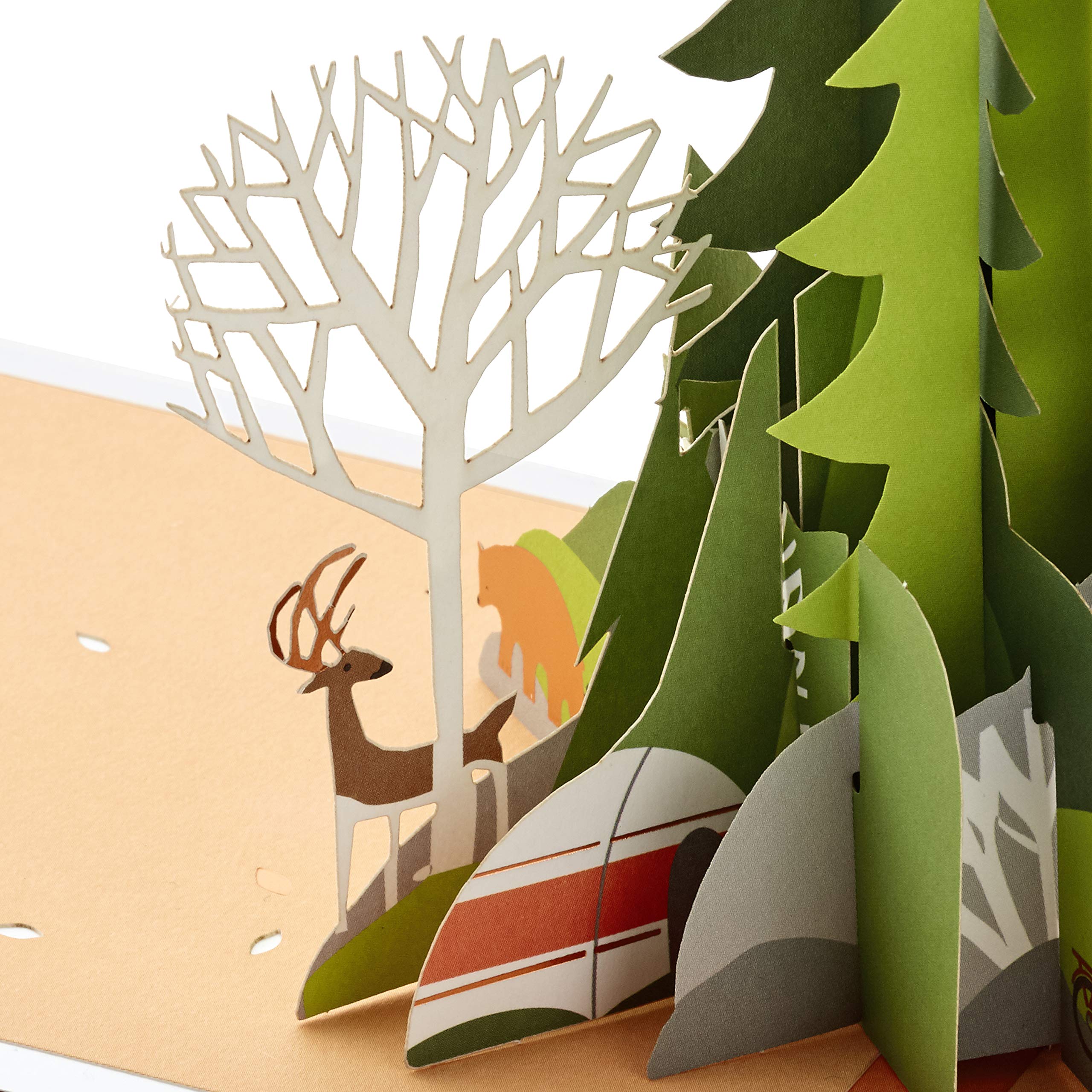 Hallmark 3D Pop Up Birthday Card for Men - Adventure Awaits Signature Paper Wonder | Perfect for Husband, Boyfriend, Father's Day & Special Occasions