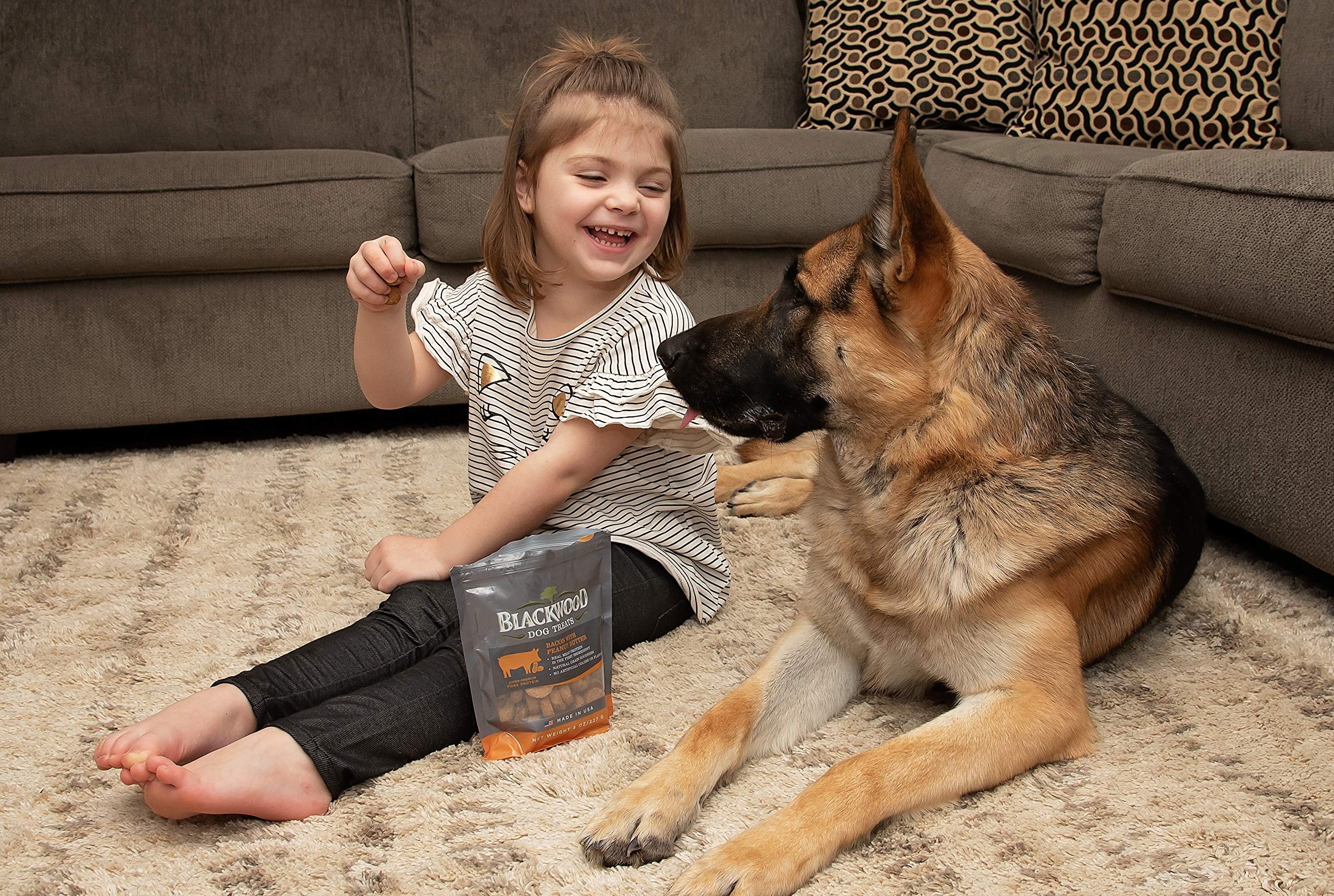 Premium Blackwood Oven Baked Dog Treats - Beef Liver & Salmon Flavor, 8oz Resealable Pouch | All-Natural Training Rewards for Puppies, Adults & Senior Dogs | Perfect for Obedience Training, Behavior Rewards & Outdoor Adventures