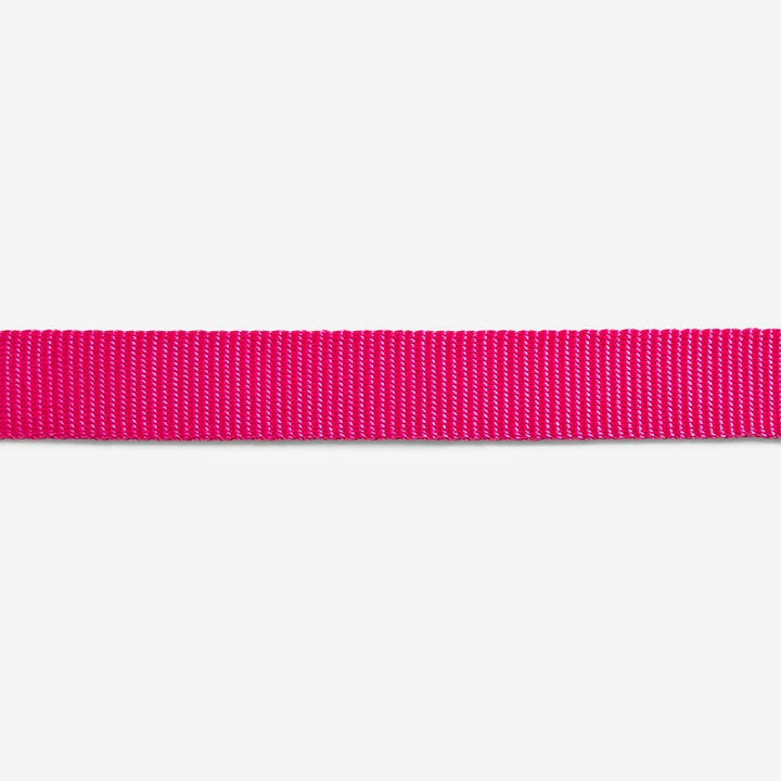 Zee.Dog Pink LED Dog Collar - Reflective & Waterproof Pet Collar for Small Medium Large Dogs - Perfect for Night Walks, Jogging & Outdoor Adventures