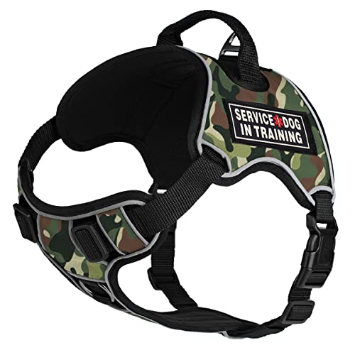 Green Camo