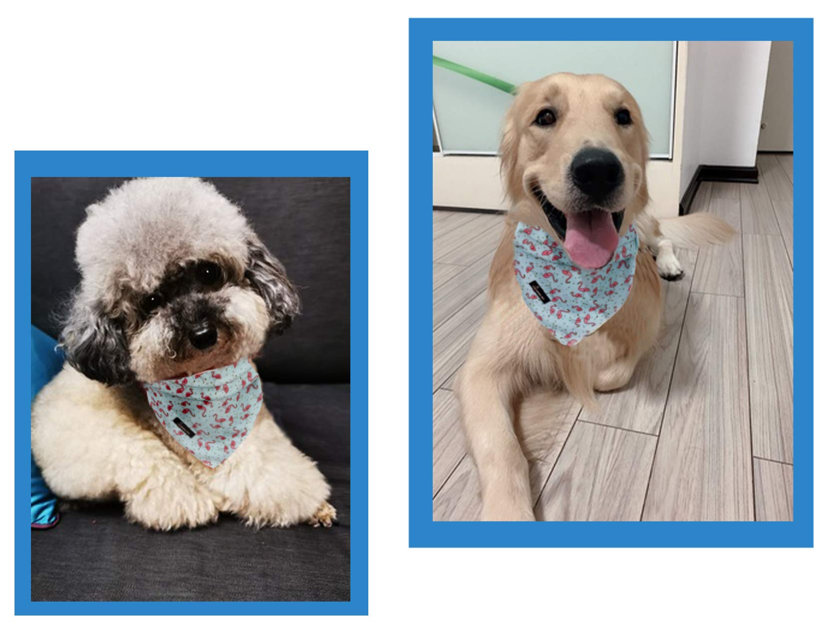 ARING PET Dog Bandana - Soft Cotton Triangle Scarf for Small, Medium & Large Dogs & Cats - Flamingo Print - Perfect for Pet Fashion, Parties & Outdoor Adventures