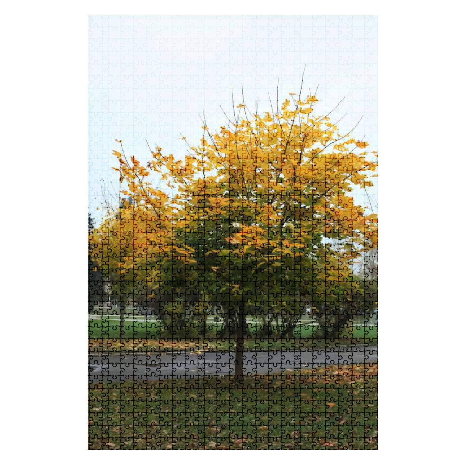 1000-Piece Wooden Jigsaw Puzzle - Autumn Maple Leaves in Green & Yellow | Educational Brain Teaser for Adults & Kids | Stress Relief DIY Toy, Perfect Gift Idea | Great for Family Game Nights & Classroom Activities