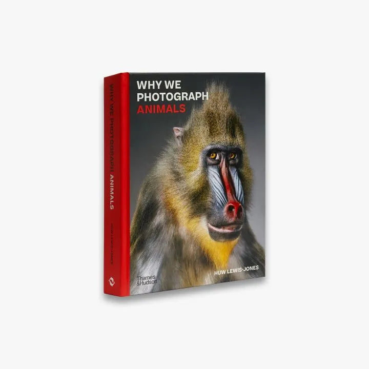 Why We Photograph Animals - Exploring the Beauty of Wildlife Photography for Nature Lovers and Conservationists | Perfect for Wall Art, Gifts, and Educational Purposes