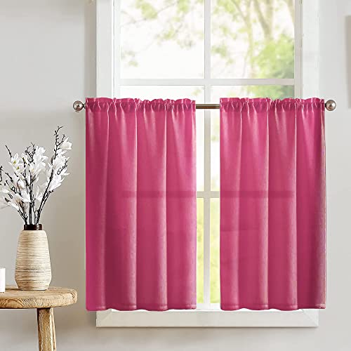 Fuchsia