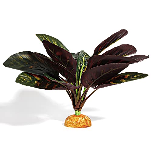 D-purple Fake Prayer Peacock Plant