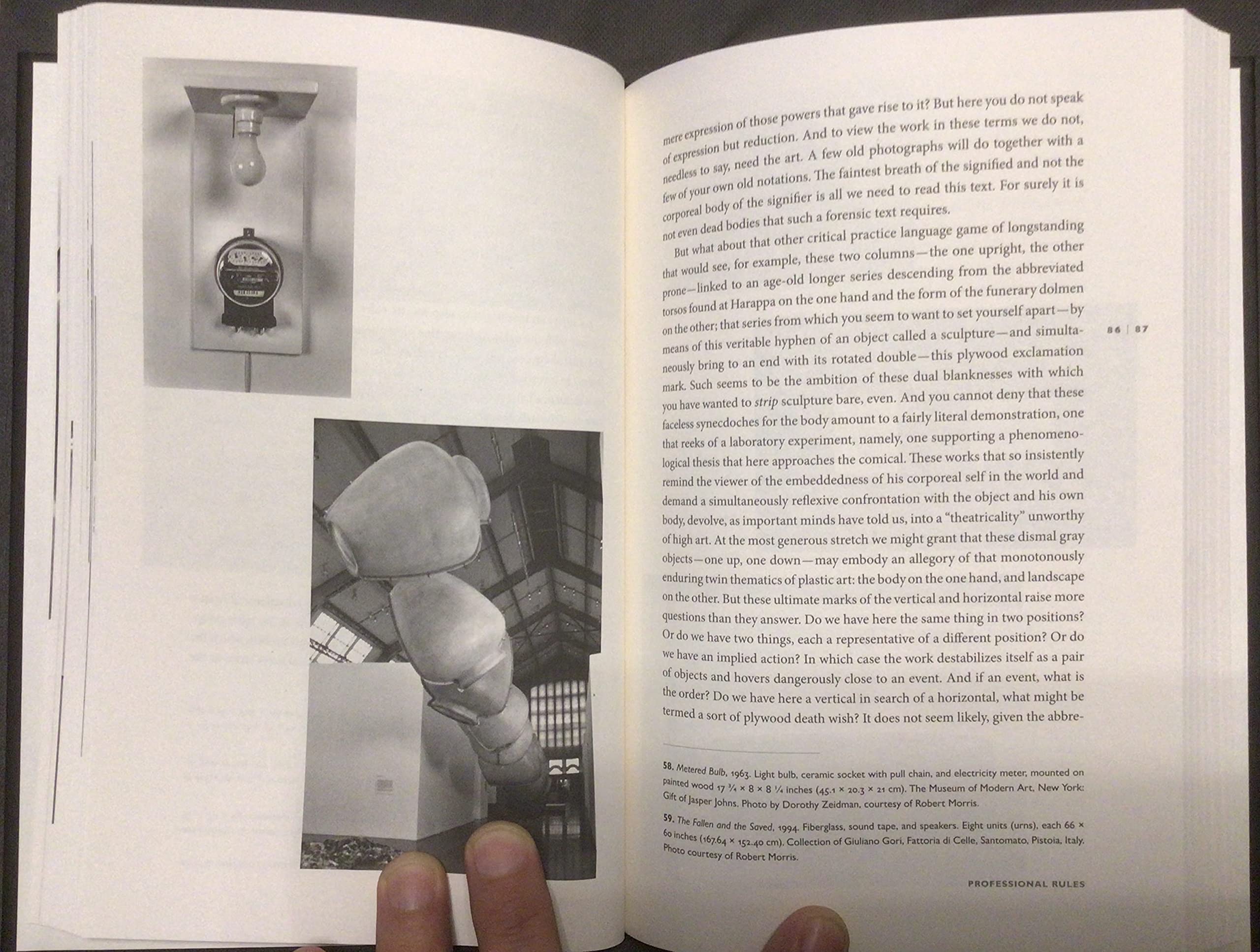 Have I Reasons: Work and Writings, 1993-2007 | Poetry Collection & Literary Essays | Perfect for Book Clubs, Academic Study & Poetry Lovers