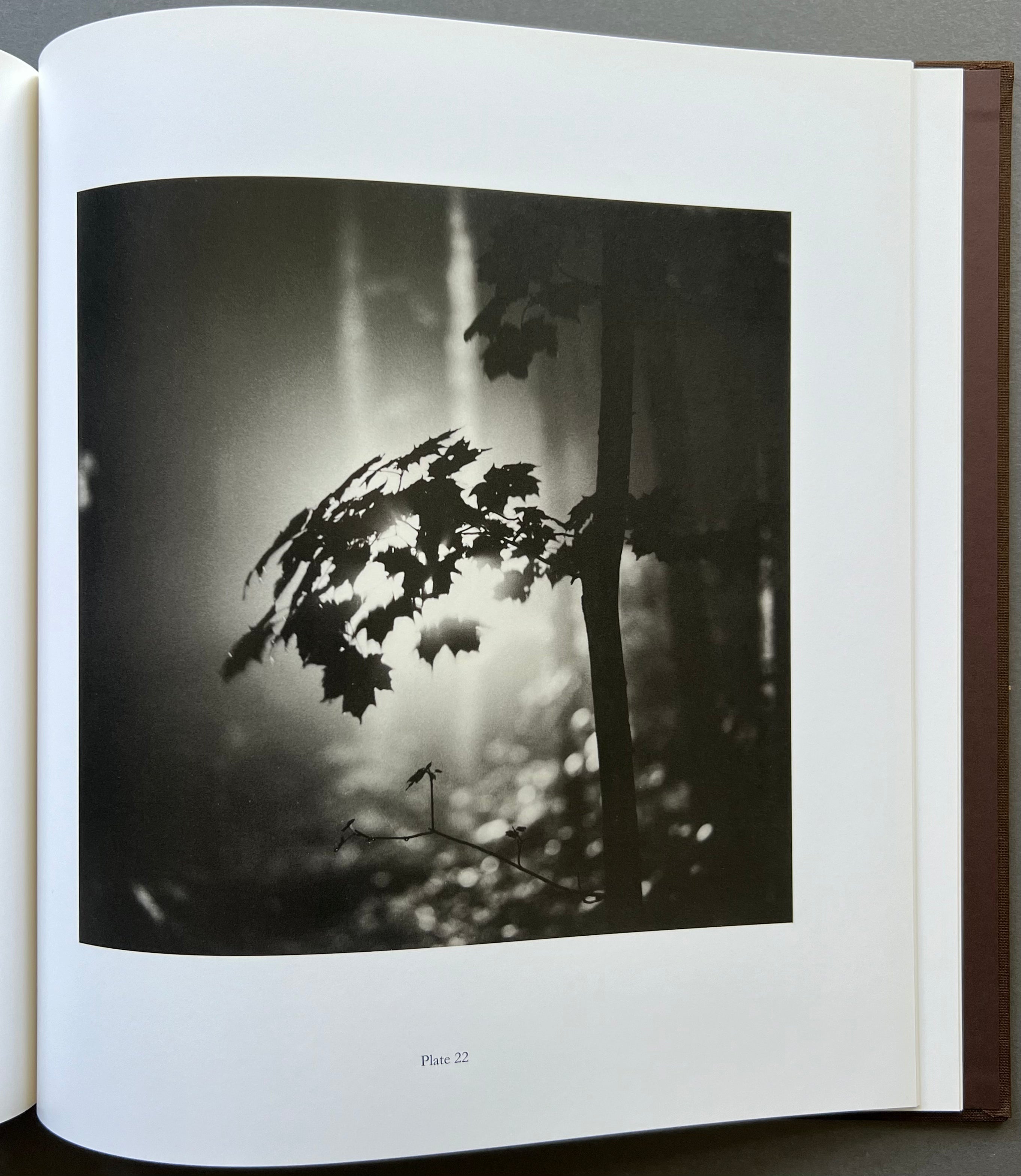 Gathering Calm: Stunning Photography Collection 1994-2004 | Wall Art Decor for Living Room, Office & Meditation Spaces