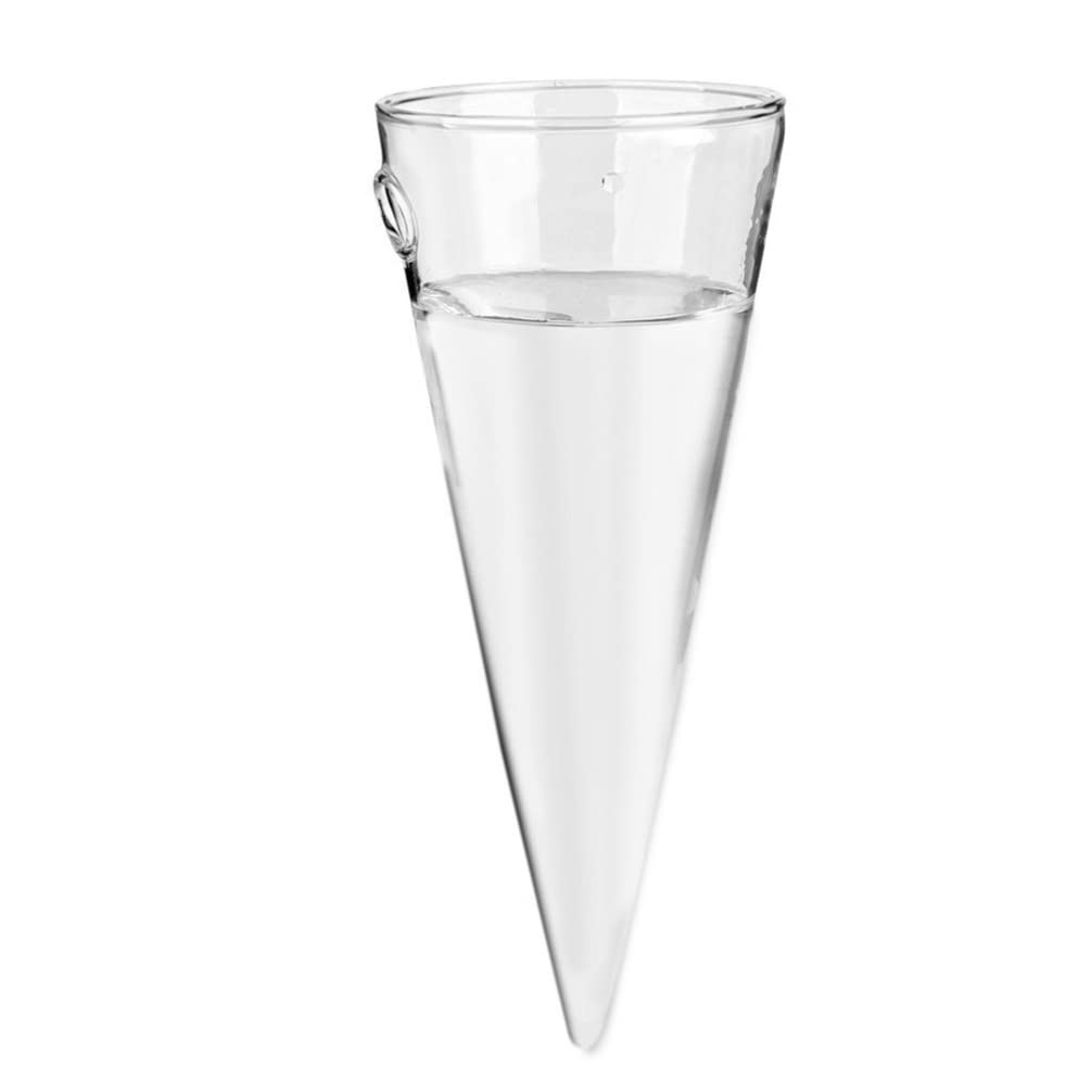 Cabilock Wall Mounted Glass Planter Terrarium - Cone Shaped Hydroponic Vase for Air Plants, Succulents & Propagation | Perfect for Indoor Gardening, Home Decor & Office Greenery