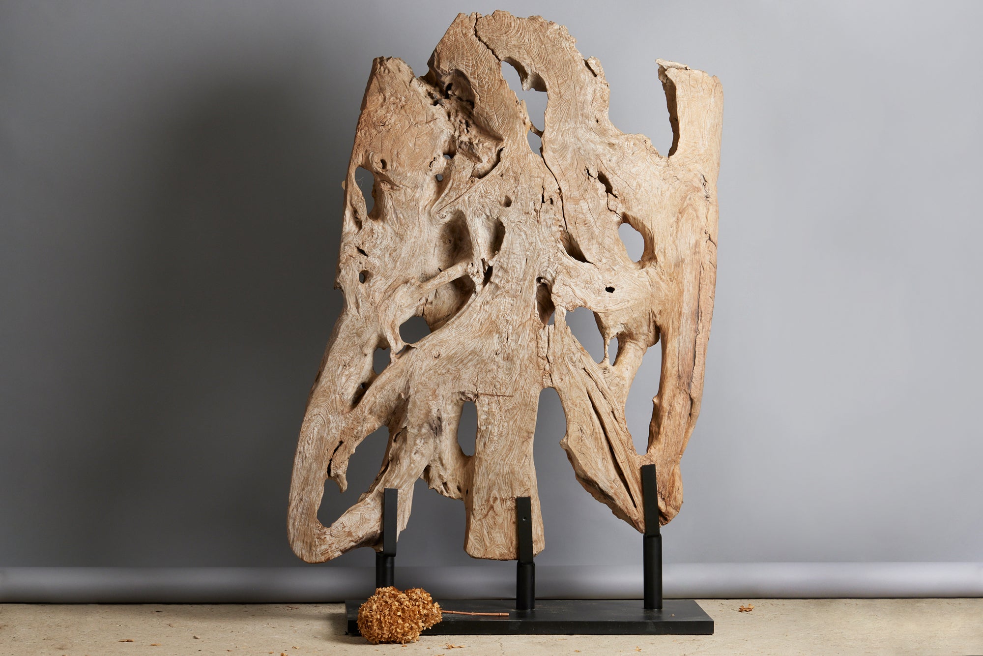 19th Century Antique Teak Root Carving - Handcrafted Monastery Art from East Java | Perfect for Home Decor, Zen Garden, and Spiritual Spaces