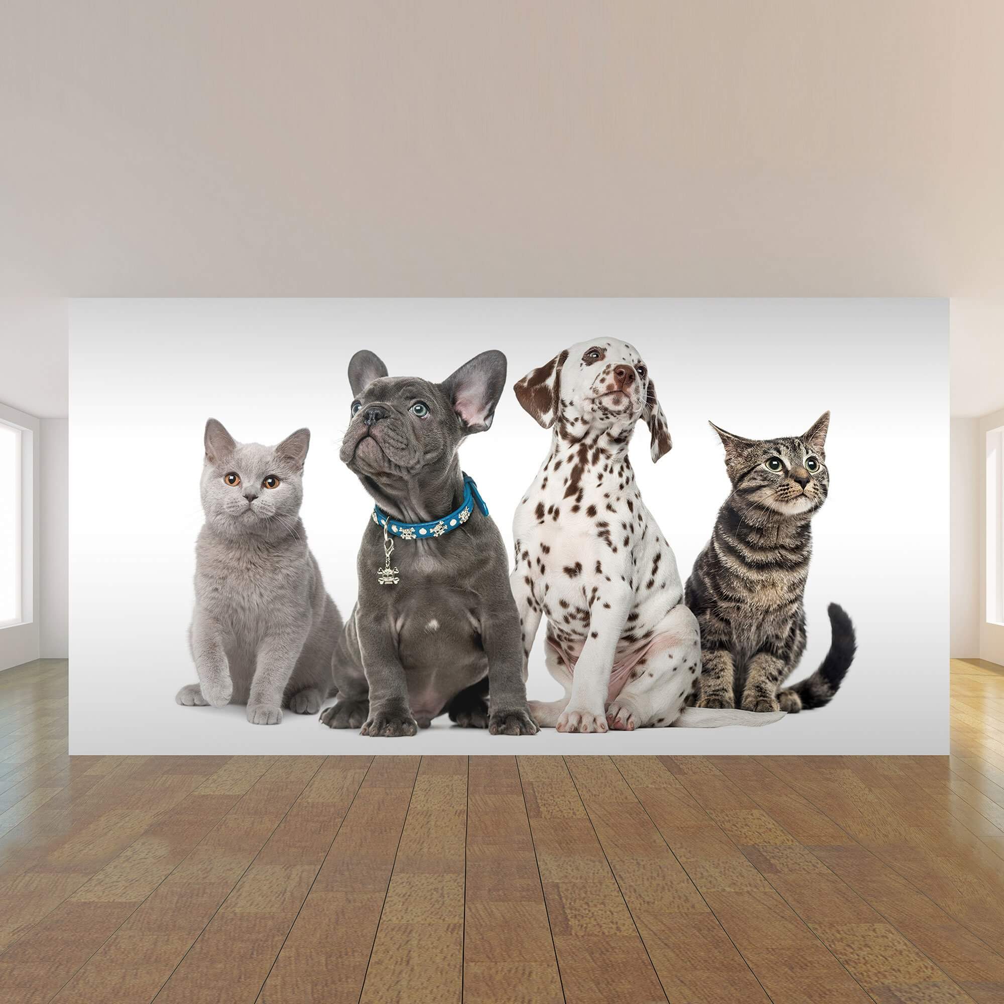 Brown and Orange Dog and Cat Peel & Stick Removable Wallpaper Mural - Self-Adhesive Pet-Themed Wall Decor for Bedroom, Nursery, or Living Room