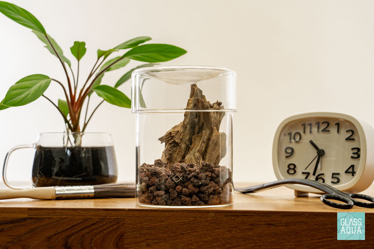 Miniature Terrarium Kit - DIY Glass Garden with Succulents & Moss - Perfect for Home Decor, Office Desk, or Gift Giving - Create Your Own Tiny Ecosystem