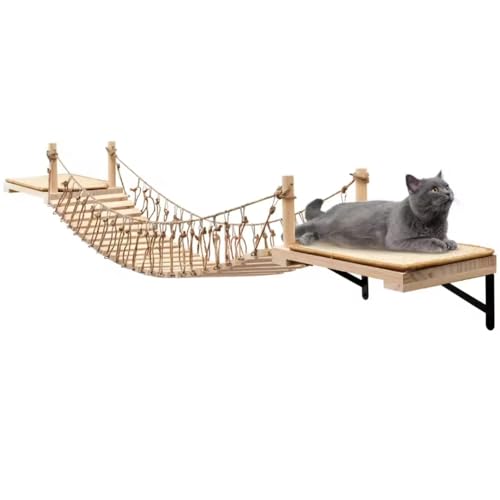 Cat Bridge