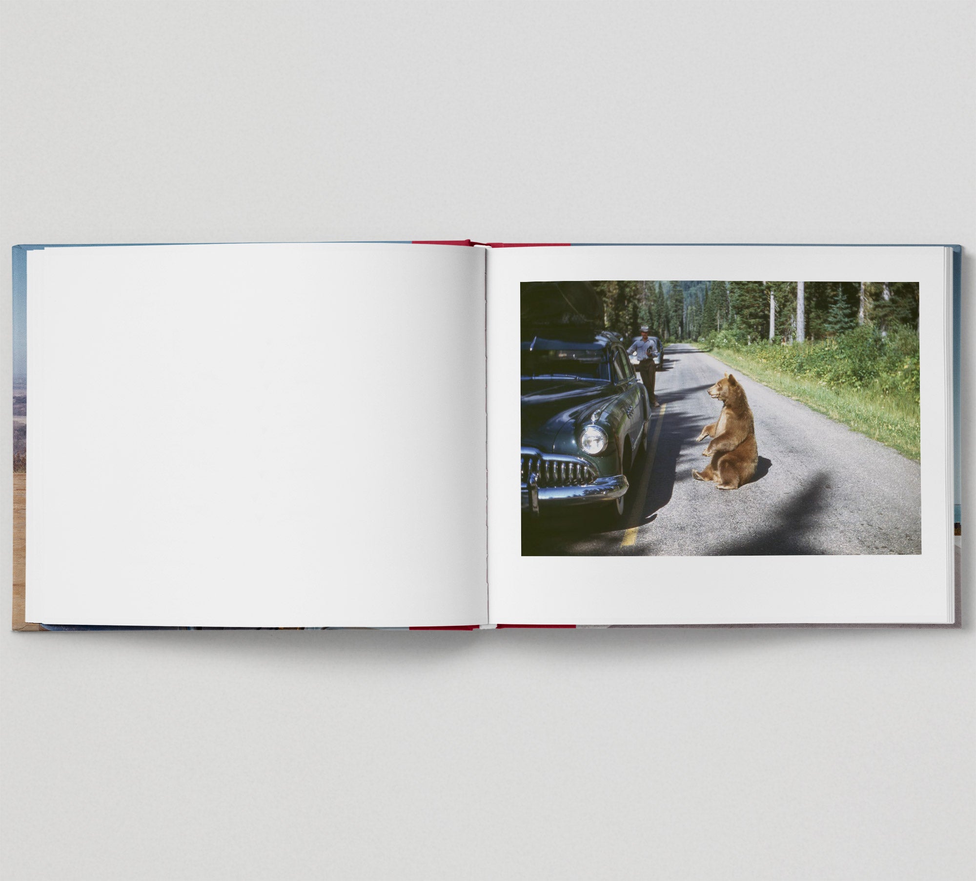 Pre Order On The Road - Premium Travel Essentials for Road Trips & Outdoor Adventures