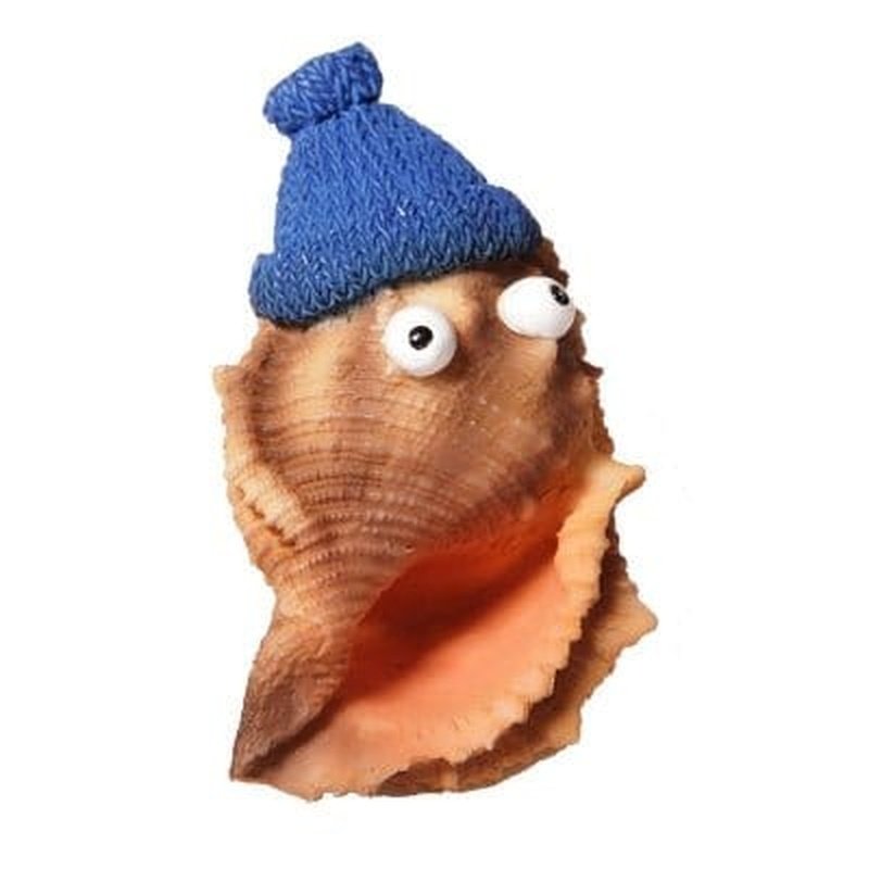 Aqua One Natural Conch Shell Decor 5.5 x 4.4 x 4.5cm - Perfect for Aquarium, Beach Themed Party, Home Decor & DIY Crafts