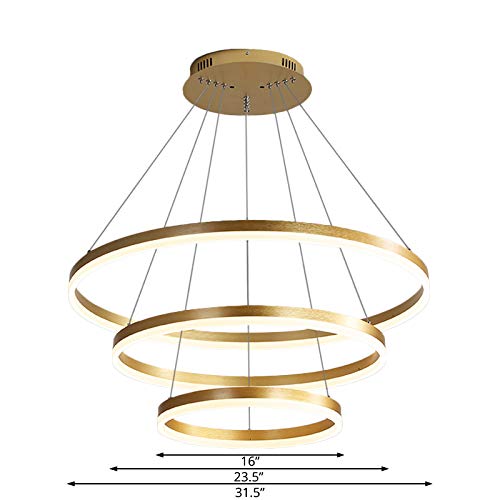 XINDAR Modern Gold Metal Round Chandelier - 3-Light Acrylic Diffuser Pendant Lighting Fixture for Dining Room, Kitchen Island & Bedroom | Warm White LED Hanging Ceiling Light