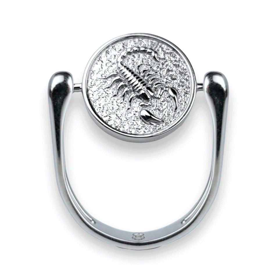 Stylish Silver Zodiac Fidget Ring for Anxiety Relief - Perfect for Stress Relief, Focus & Meditation | Astrology Jewelry Gift for Women & Men