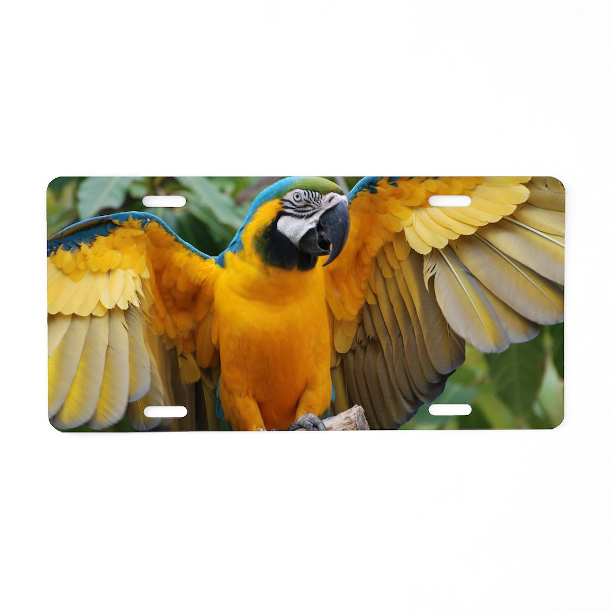 Colorful Macaw Wings Aluminum License Plate - Front Vanity Tag for Cars, Trucks & Motorcycles - Perfect for Bird Lovers & Tropical Theme Vehicles