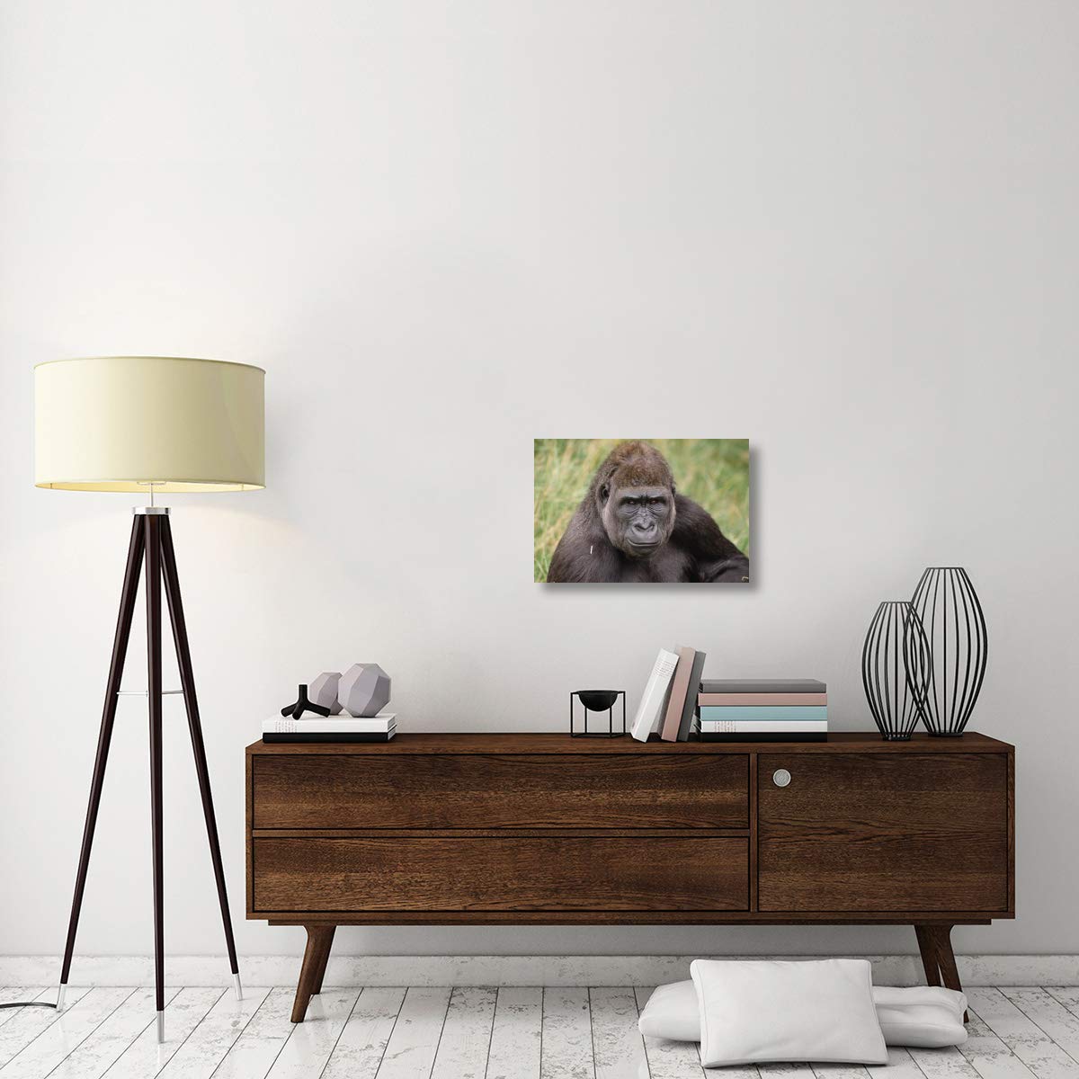 Western Lowland Gorilla Canvas Art Print - 24x16 Inches - Young Male Gorilla from Woodland Park Zoo - Perfect for Home, Office & Wildlife Decor