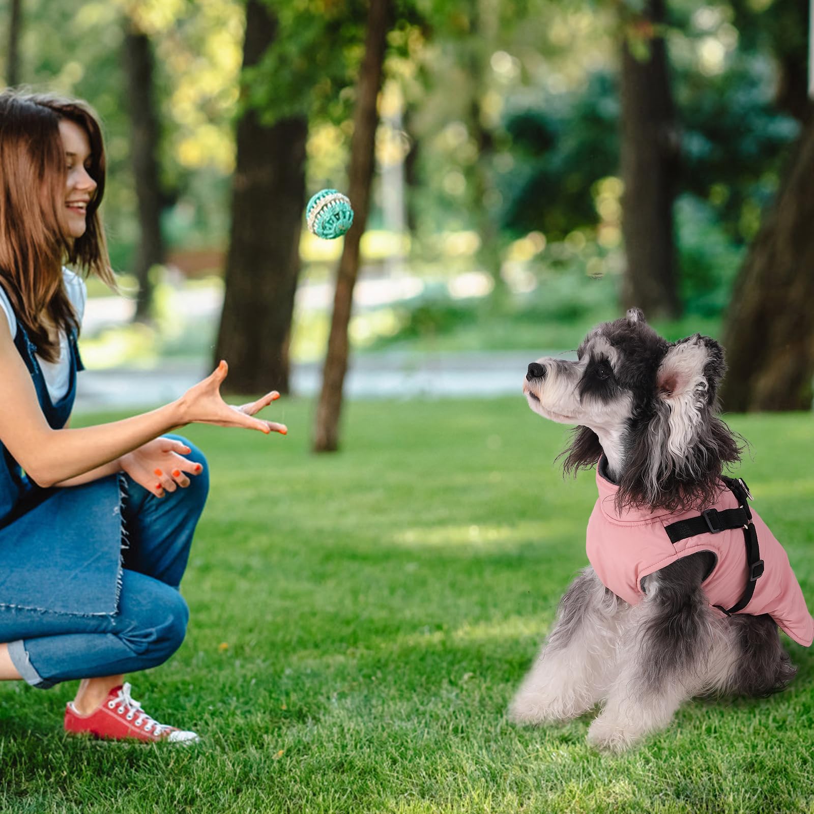 Norbi Dog Winter Coat with Built-in Harness - Adjustable Warm Jacket for Small, Medium & Large Dogs - Cold Weather Protection for Outdoor Walks & Adventures