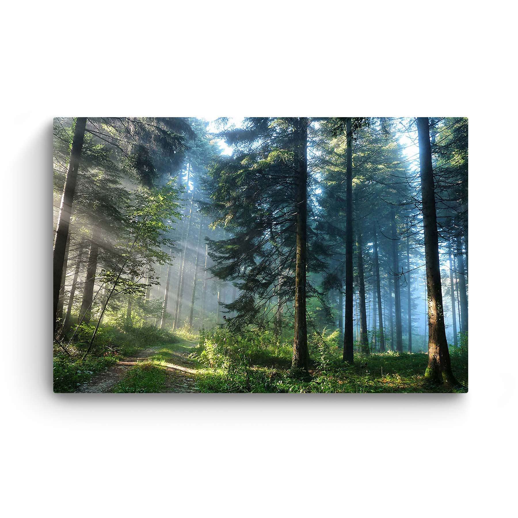 Startonight Forest Road Canvas Wall Art - 24x36 Inch Nature Landscape Painting, Stretched Ready to Hang Modern Home Decor for Bedroom & Living Room - Luminous Artwork Perfect for Cozy Spaces & Meditation Rooms