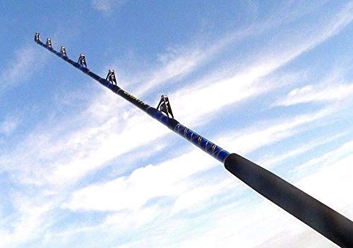 COMPOSIT 50-80LB Blueline Series Saltwater Big Game Roller Fishing Rod Set of 2 - Heavy Duty Offshore Trolling Rods for Marlin, Tuna & Swordfish