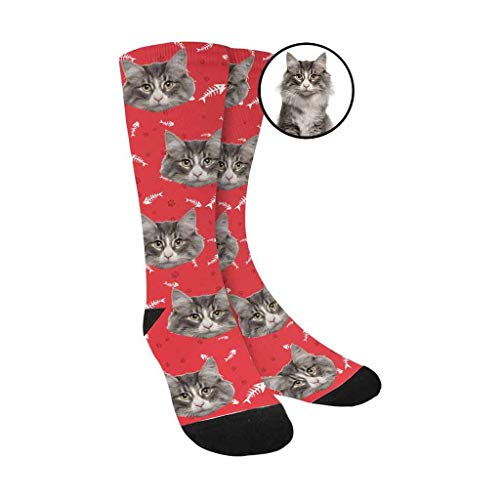 3-cat Red