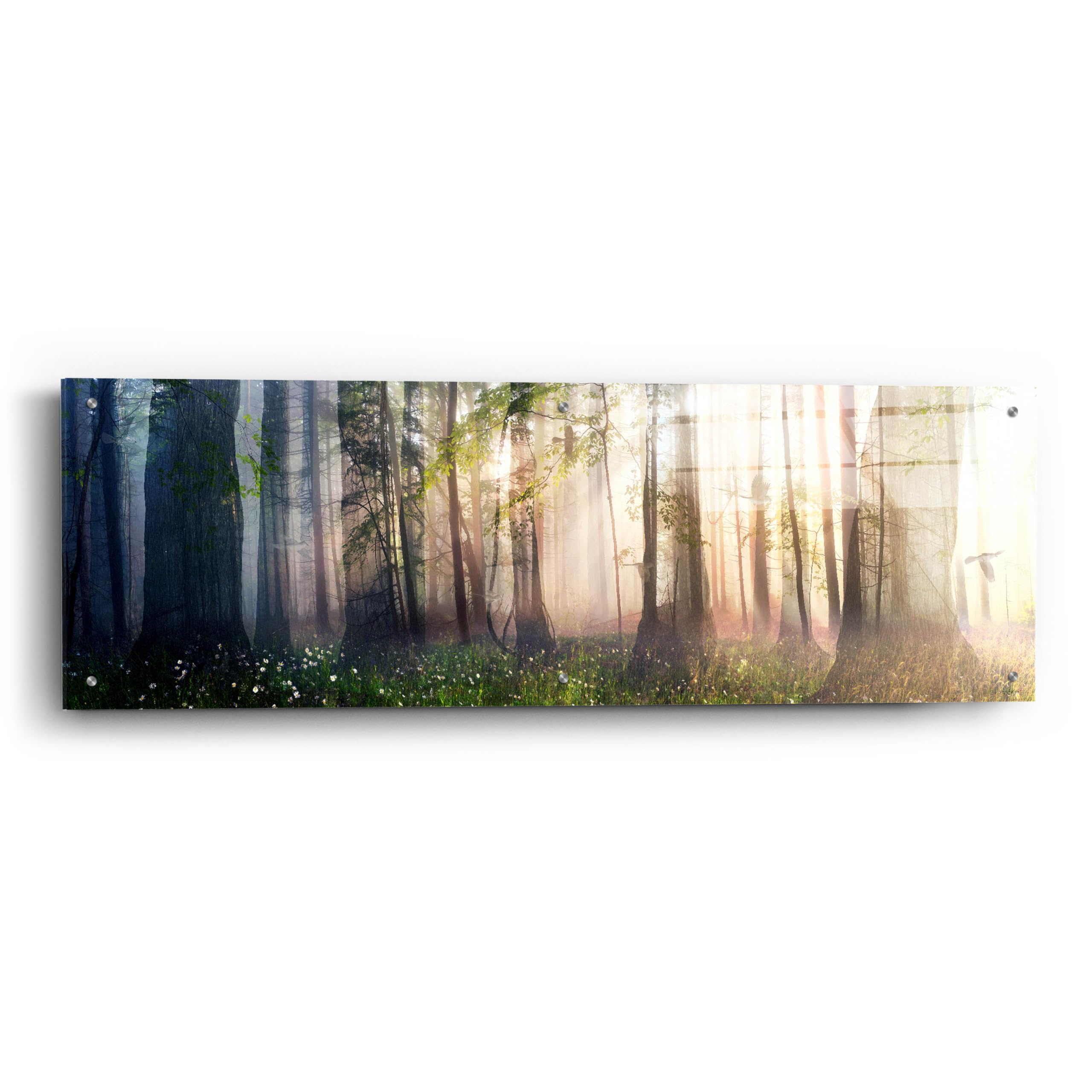 Epic Art 'Constancy' by Cynthia Decker - 48x16 Inch Acrylic Glass Wall Painting - Modern Abstract Canvas Art for Living Room, Bedroom & Office Decor