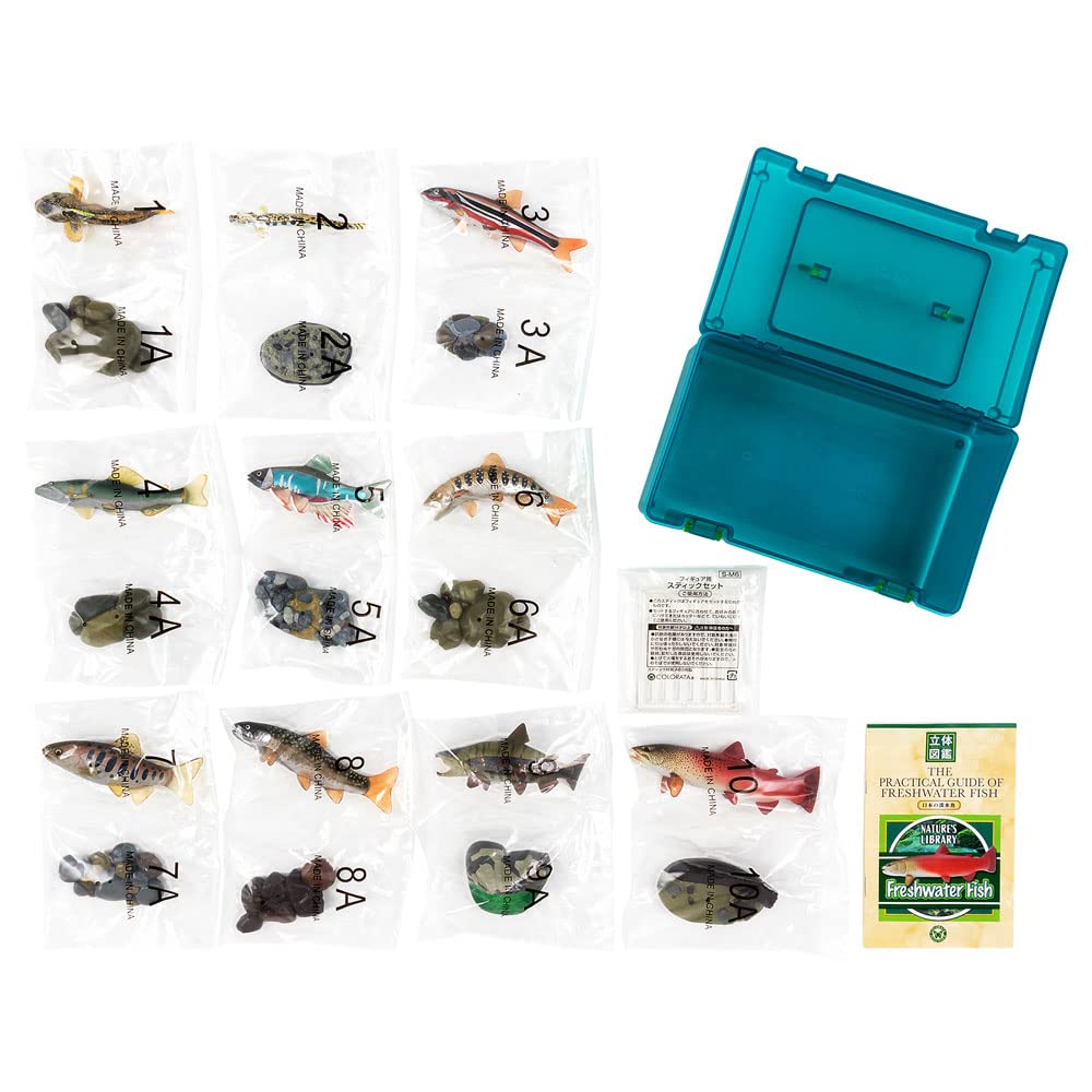 10 Realistic Freshwater Fish Figurines - Detailed Fish Species Collection for Aquarium Decor, Educational Toys & Nature Enthusiasts - Perfect for Home Display, Classroom Learning & Fish Tank Ornaments