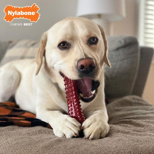 Nylabone Power Chew Basted Blast Dual Flavored Dog Chew Toys - Durable Puppy Chewing Toy for Aggressive Chewers, Long-Lasting Dental Treat for Medium & Large Dogs - Perfect for Teething, Boredom Relief & Dental Health