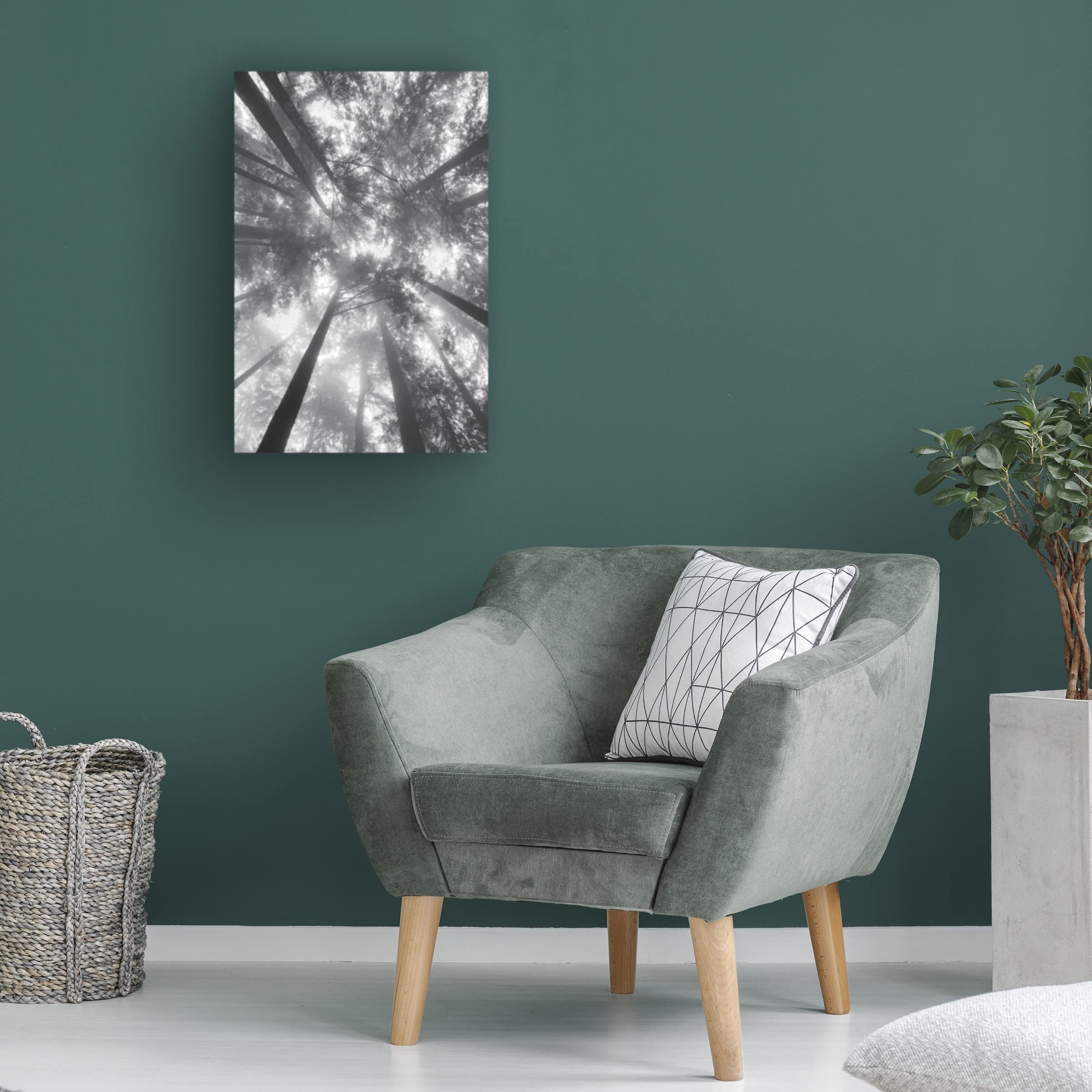 Alan Majchrowicz 'Fir Trees I BW' Black & White Landscape Canvas Wall Art - Perfect for Living Room, Bedroom & Office Decor