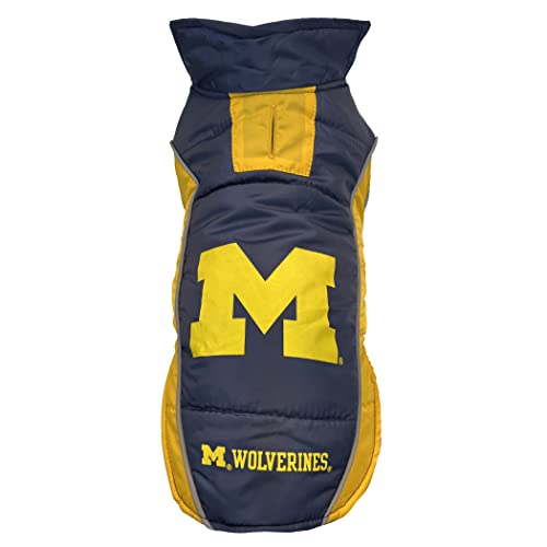 Michigan Wolverines