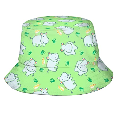 Hippo 05