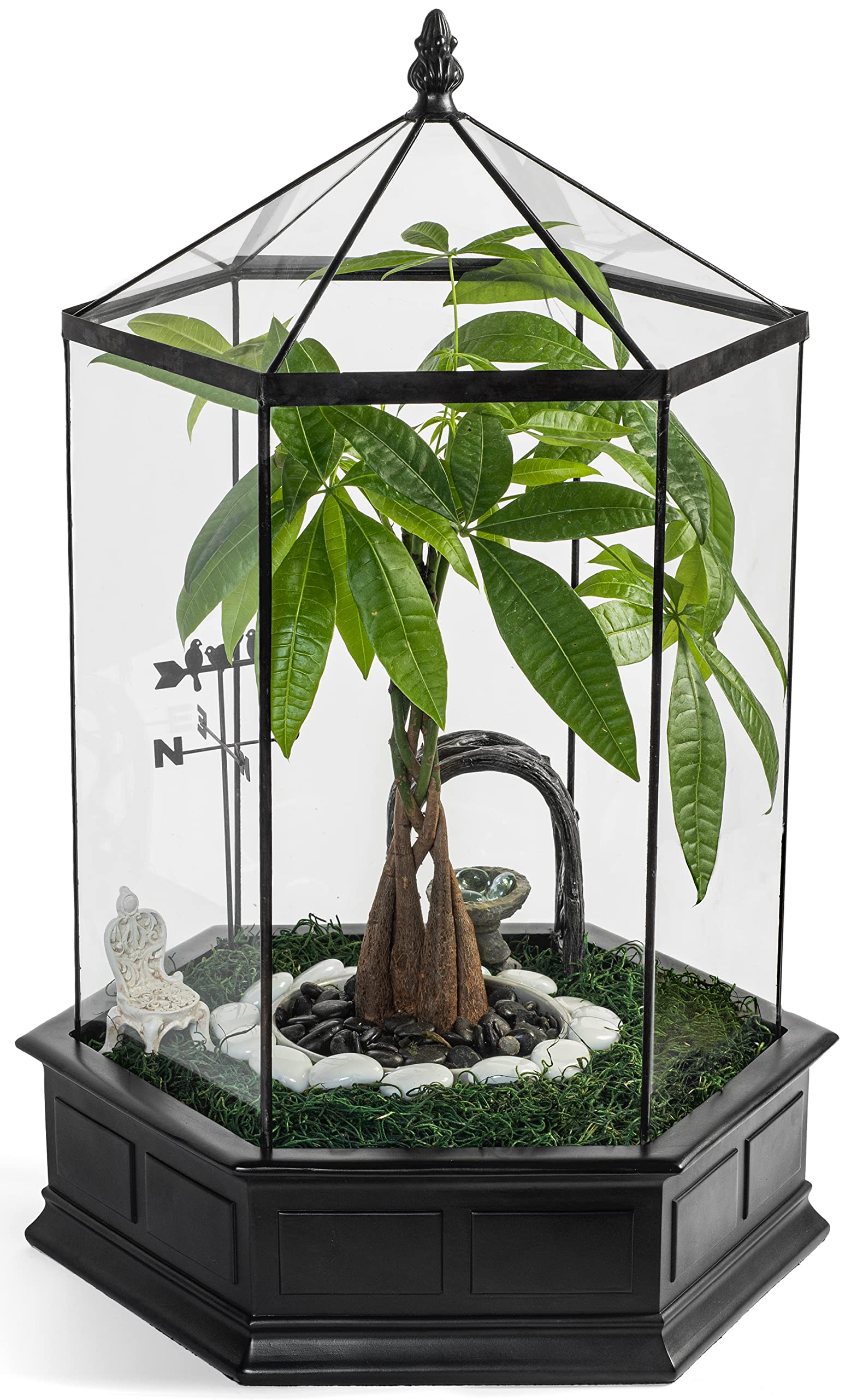 H Potter Large 6-Sided Glass Terrarium Wardian Case - Perfect for Indoor Plants, Succulents & Home Decor
