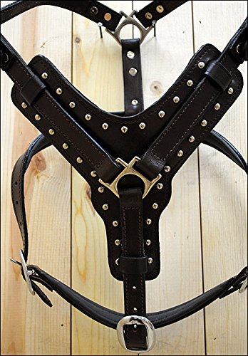 HILASON Genuine Leather Dog Harness & Leash Set - Brown Small | Adjustable & Durable for Small Dogs | Perfect for Walking, Training & Outdoor Adventures