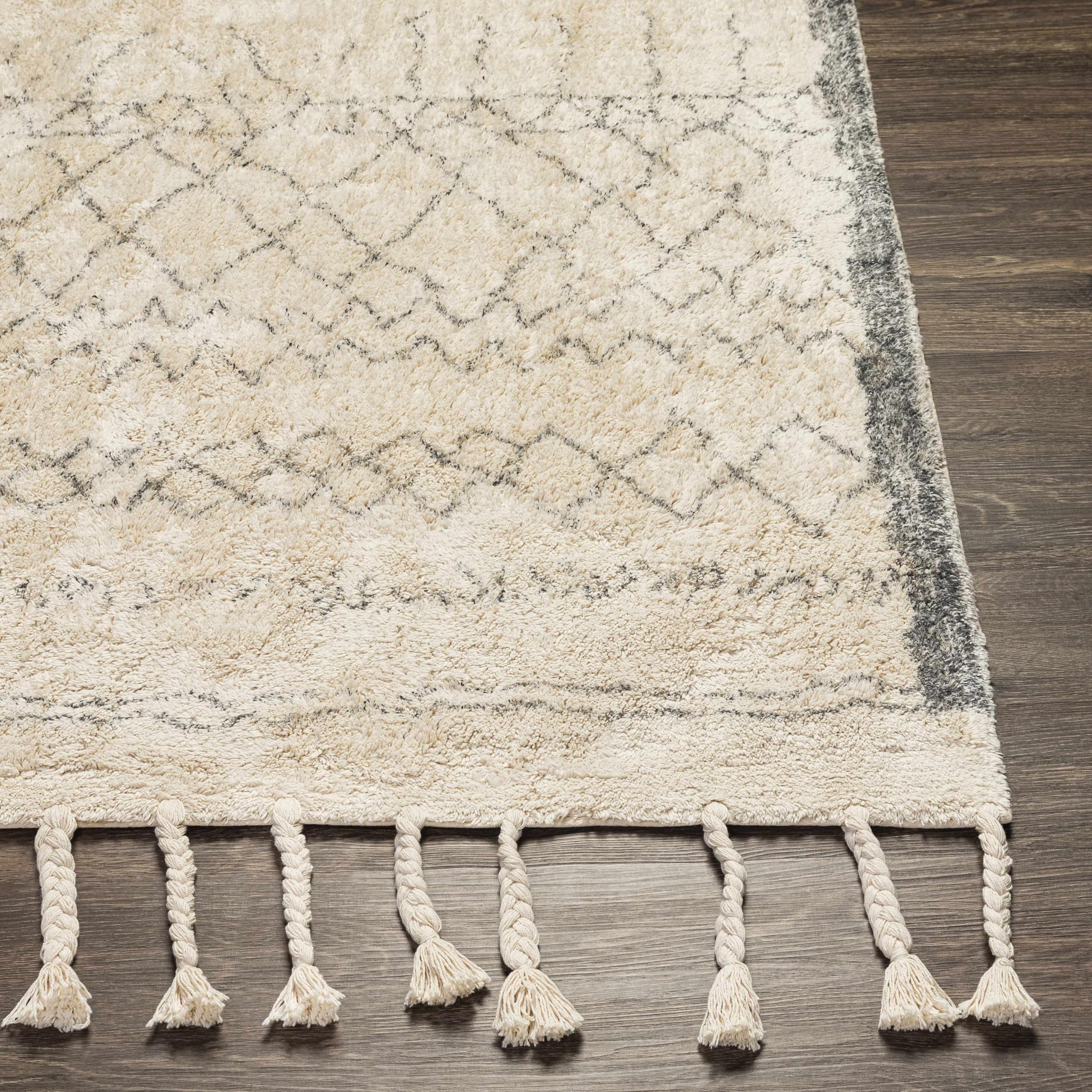 Bohemian Transitional Area Rug for Living Room & Bedroom - Gray & Cream 2'6