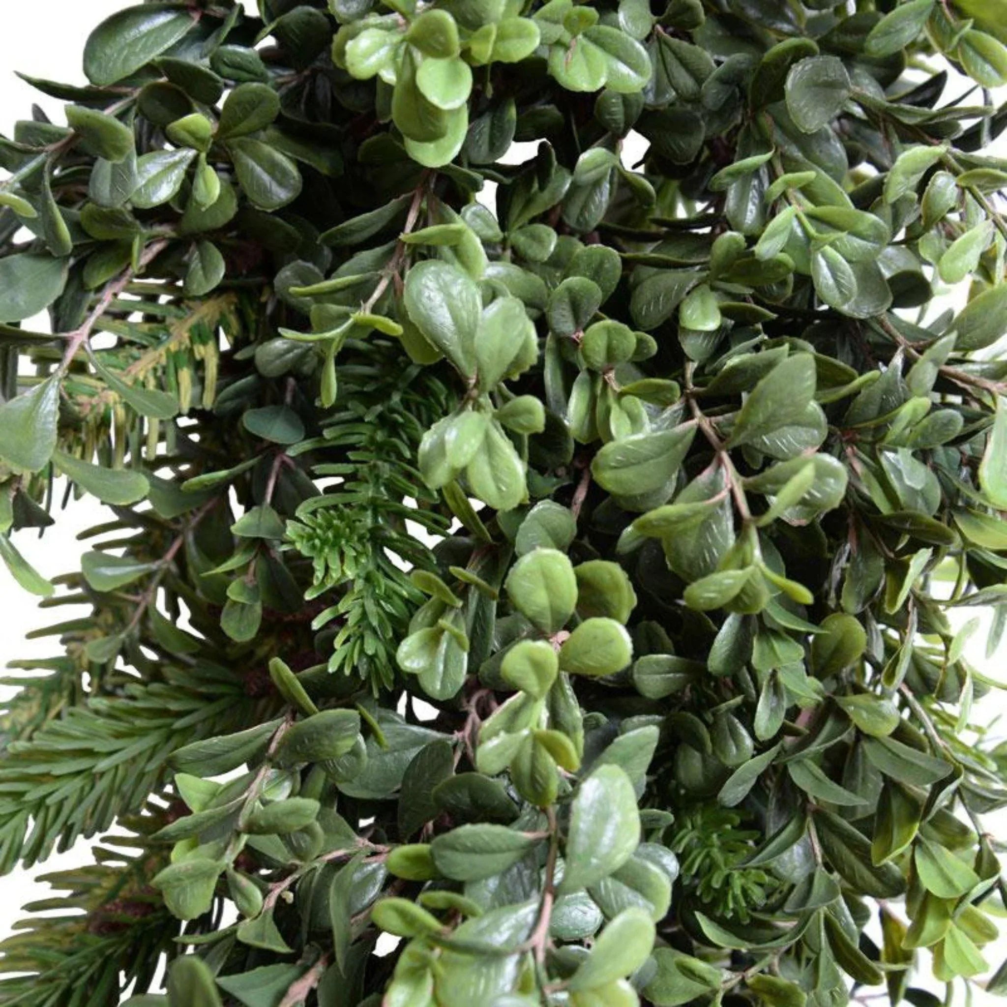 6' Boxwood and Fir Holiday Garland - Premium Christmas Decoration for Fireplace, Mantel, Stairs, and Doorway Decor