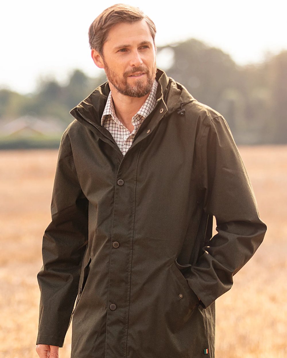 Alan Paine Aylesbury Check Shirt for Men - Classic Plaid Button Down Oxford Cotton Shirt - Casual & Business Wear for Office, Date Night & Outdoor Activities