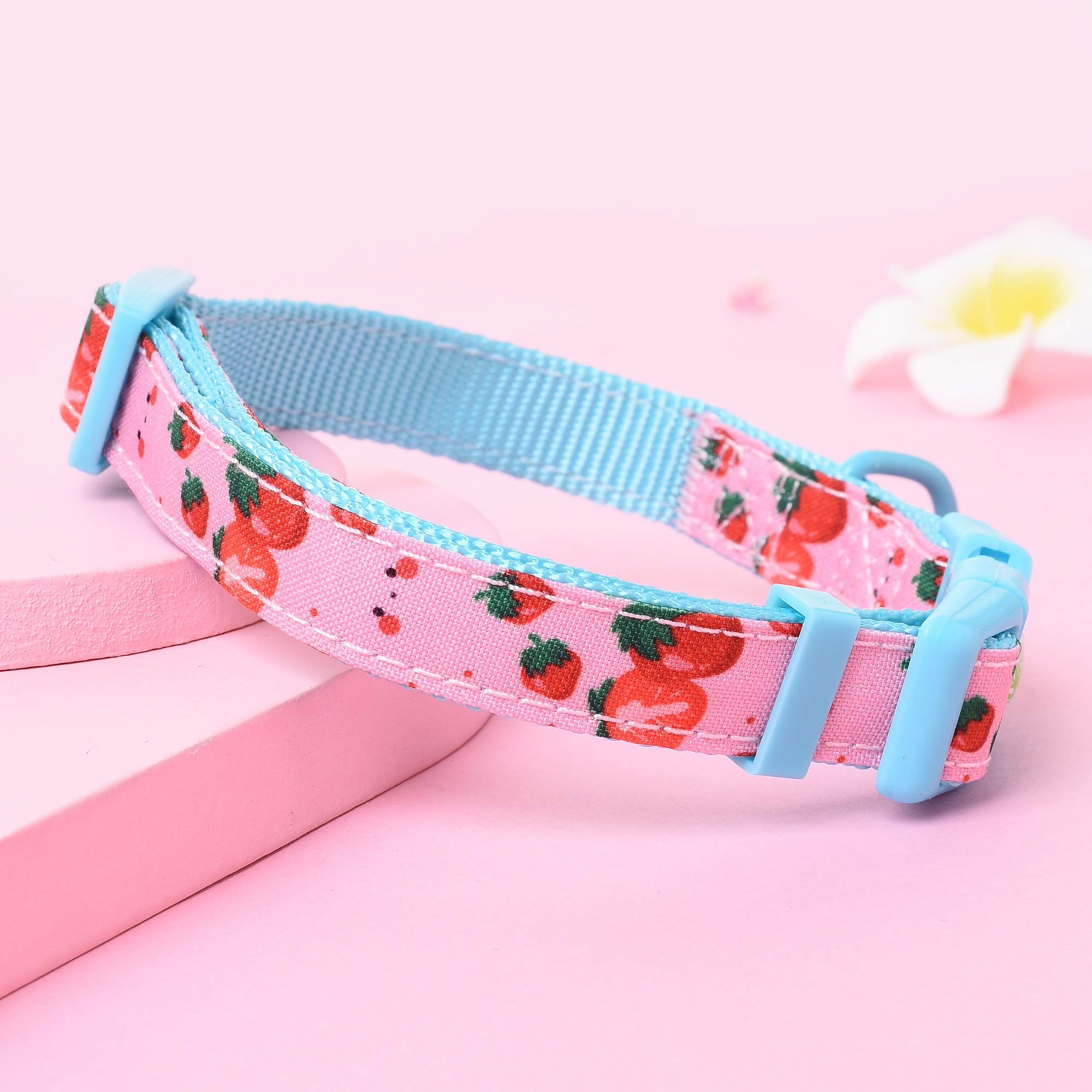 Cute Lightweight Soft Poly Cotton Dog Collar for Medium Dogs - Flower & Fruit Pattern (Strawberry) | Comfortable & Stylish Pet Accessory for Daily Walks, Training & Outdoor Adventures