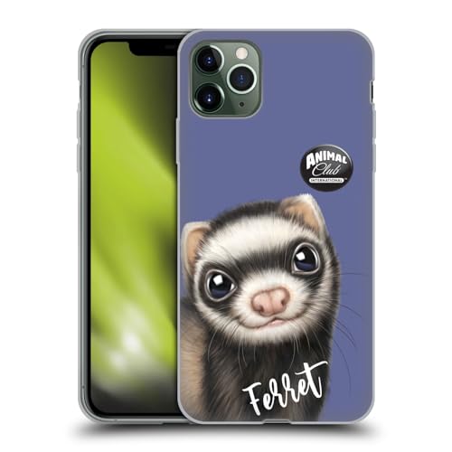Ferret