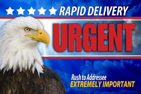 6x9 Express Envelopes - 500/Carton Bulk Mailing Envelopes for Direct Mail, Marketing & Business Communications - Perfect for Real Estate Promotions, PR Campaigns & Product Announcements