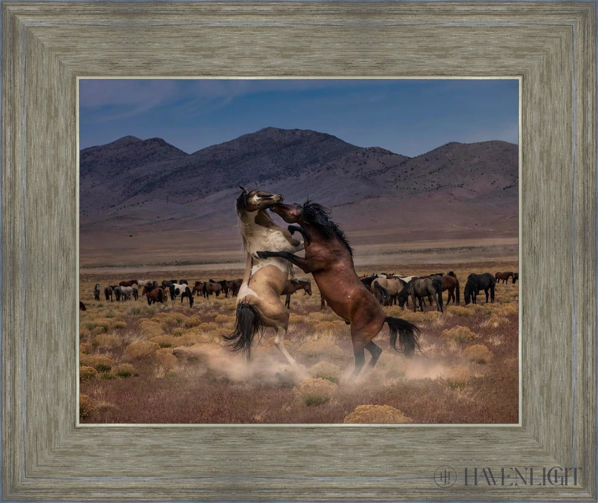 Desert Duel by Greg Sargent - Western Novel, Adventure & Action Book - Perfect for Fans of Cowboy Stories and Wild West Tales | Great for Reading on Road Trips, Camping & Relaxation