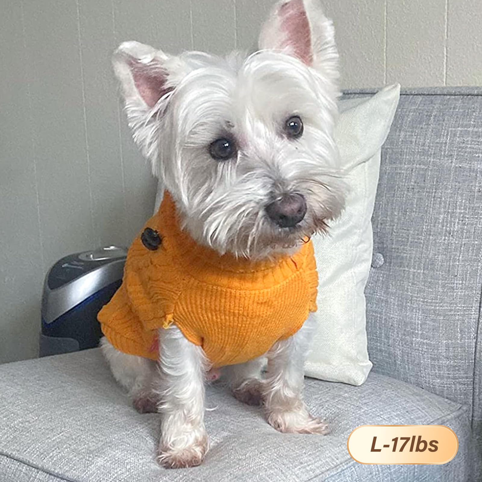 KYEESE Warm Knit Dog Sweater for Small & Medium Dogs - Turtleneck Pullover Winter Coat for Puppies, Boys & Girls (Yellow, Size L) - Perfect for Cold Weather Walks & Indoor Comfort