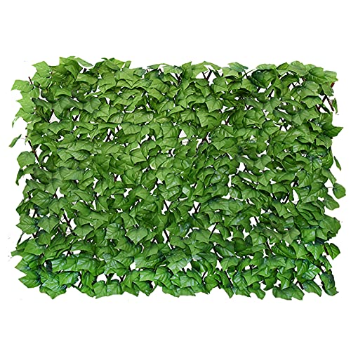 1-MINT