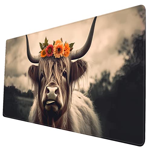 Highland Cow